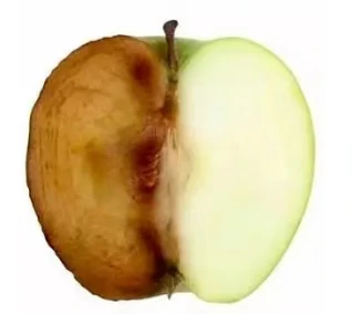 Cosmetic Antioxidant